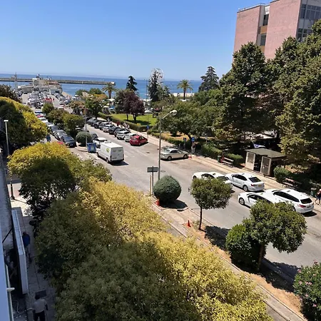 Kalopsia Centro 2 Cavala